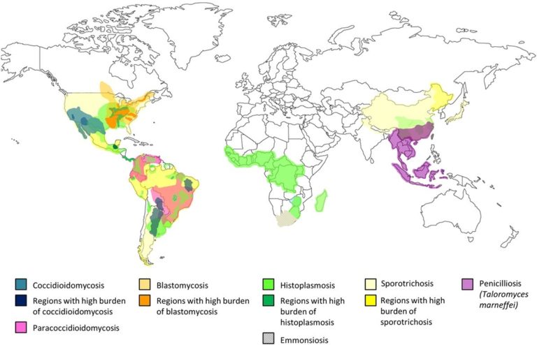 world map showing the location of common endemic mycoses