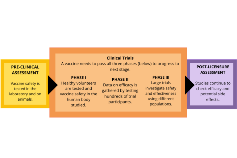 Infographic showing the different stages a vaccine goes through to ensure it's safe. It starts with pre-clinical assessment, then clinical trials and post licensure assessment.