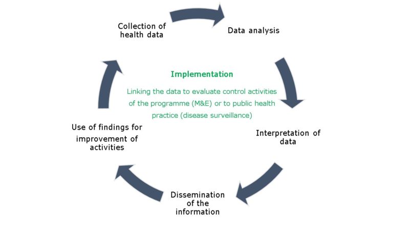 Path of data of M&E and disease surveillance from data collection to application.