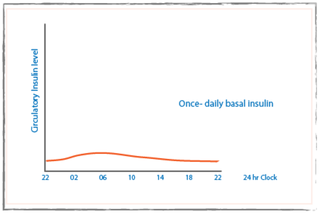 Graph showing circulatory insulin level on the y-axis and 24 hours on the x-axis. A red line at a consistent low level shows once daily basal insulin.