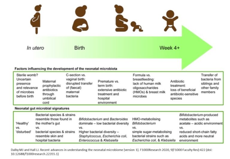 Recent advances in understanding the neonatal microbiome 