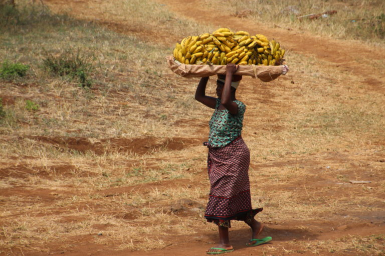 Woman carrying bananas on her head