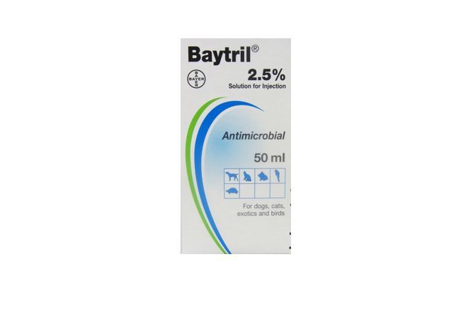 An image of Baytril, a commonly used antimicrobial.