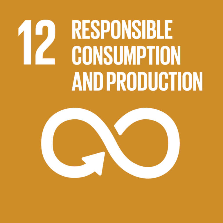 Icon of an infinity symbol with the title "Responsible consumption and production"