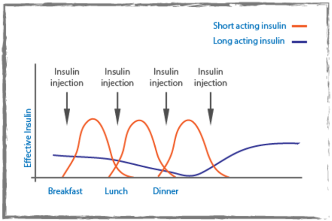 Graph with long acting insulin as the y-axis and breakfast, lunch and dinner as the x-axis. A blue line on the graph shows the long acting insulin and red peaks show the short acting insulin after insulin injections.
