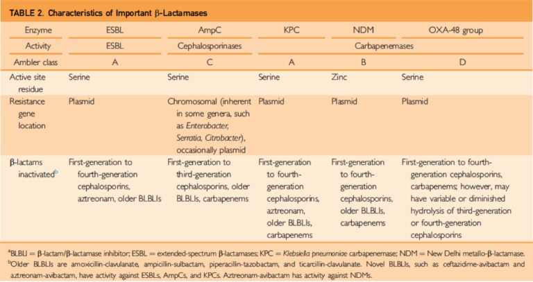 Ambler table: Title row - ESBL enzyme activity ESBL, Ambler class A Serine is the active residue, Plasmid is the resistant gene location and the ß-lactams are inactivated with 1st generation to 4th generation cephalosporins, aztreonam and older BLBLs; AmpC Activity is Cephalosporins, Ambler Class c, Residue Serine, Resistant gene location is Chromosomal and ß-lactams are inactivated with 1st generation to 3rd generation cephalosporins, and older BLBLs and carbapenems, KPC is Ambler class A, Serine residue, Plasmid is the resistant gene location and ß-lactams are inactivated with 1st generation to 4th generation cephalosporins, aztreonam and older BLBLs, carbapenems, NDM; activity is Carbapenemases, Ambler class B, Residue Serine, Resistant gene location is Plasmid, ß-lactams are inactivated with 1st generation to 4th generation cephalosporins, and older BLBLs, carbapenems, OXA- 48 group, Ambler class D, ß-lactams are inactivated with 1st generation to 4th generation cephalosporins, carbapenems, however, may have variable or diminished hydrolisis of 3rd generation and 4th generation cephalosporins.