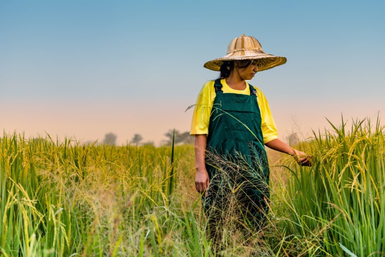 a photo of a south east Asian woman, walking through a crop