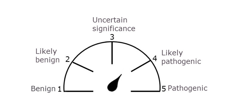 variant classification