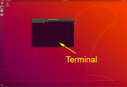 image of the ubuntu terminal launched