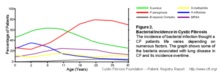 Graph of common bacterial infections throughout an average CF patient's lifetime