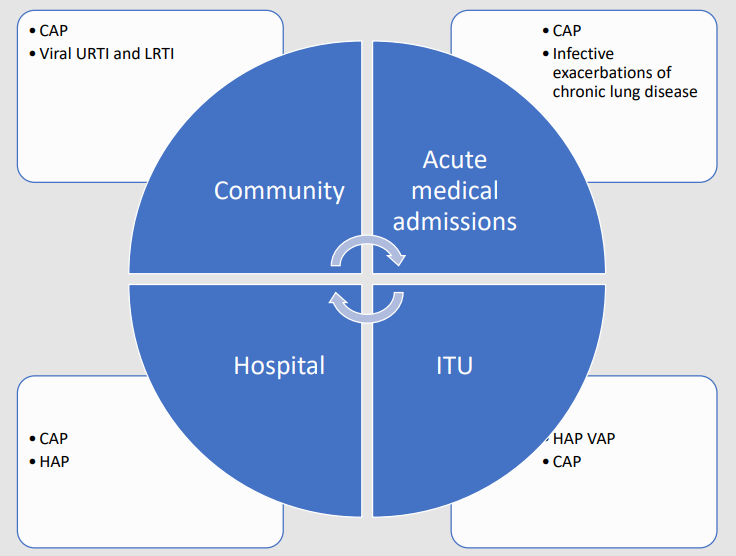 Respiratory infections in different healthcare settings: community - CAP, viral URTI and LRTI; acute medical admissions - CAP and infective exacerbations of chronic lung disease; hospital - CAP and HAP; ITU - HAP/VAP and CAP