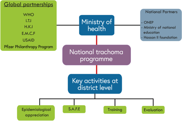 The Ministry of Health provides links with global partners and national partners and manages the national trachoma programme which, in turn, coordinates key activities at district level: epidemiology, SAFE interventions, training and evaluation.