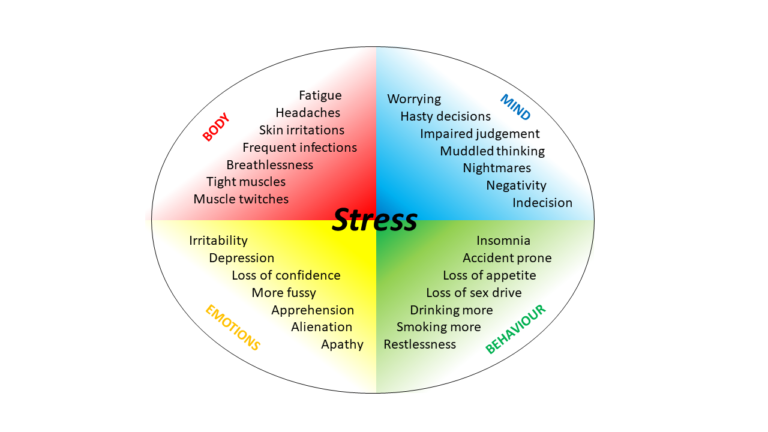 The Impact of Stress on Body, Mind, Emotions and Behaviour