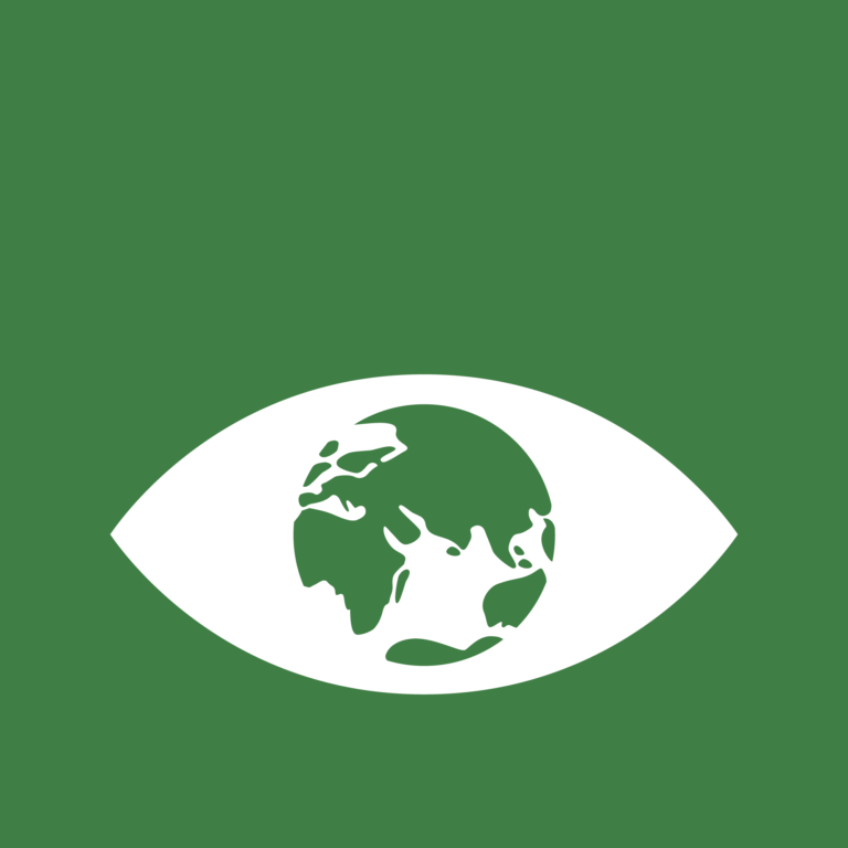 Icon of an eye with the world instead of a pupil