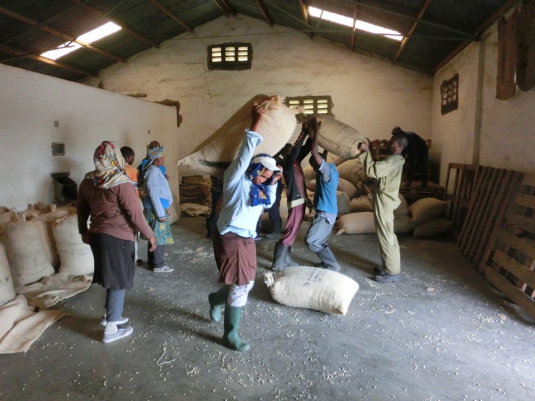 Young woman carrying a 50 kg coffee sack on her shoulder