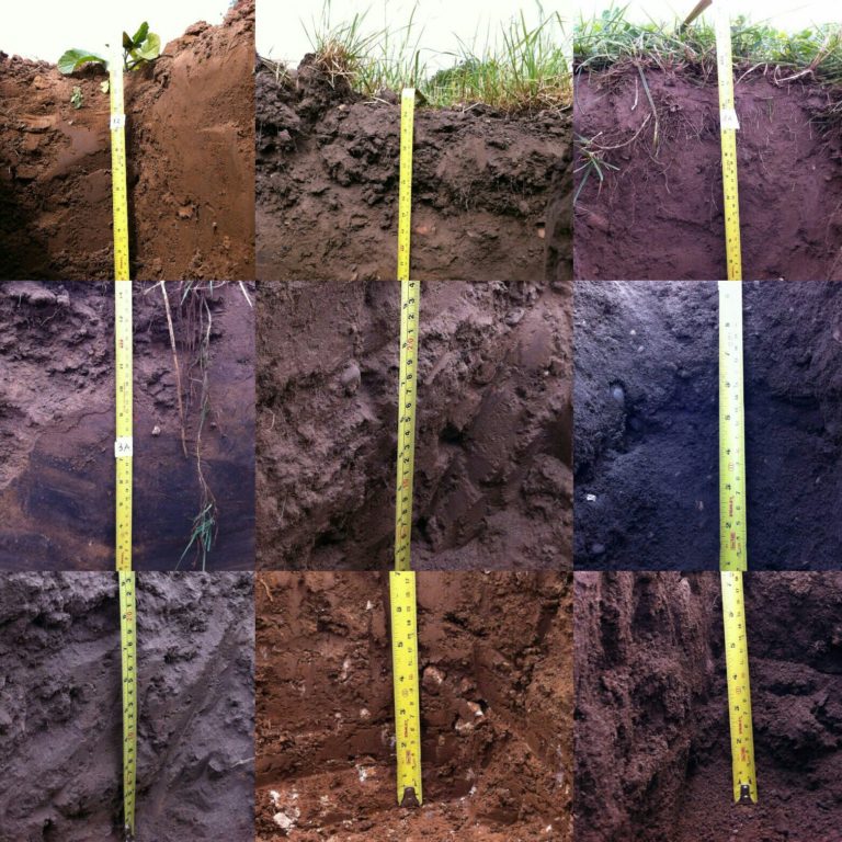 A collage of different types of soil