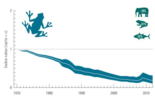 The population of 881 freshwater species has declined by 81% between 1970 and 2012