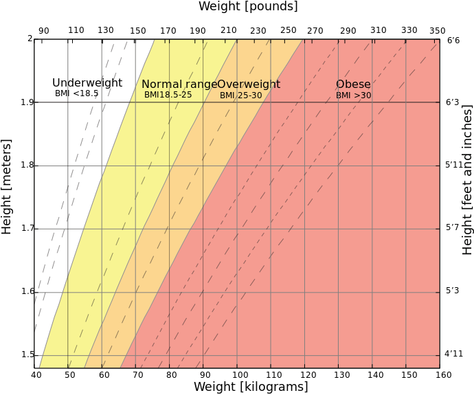 The Body Mass Index Chart