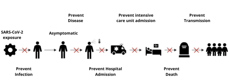 Diagram showing how a COVID-19 vaccine may prevent infection using images of people and arrows