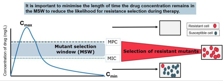 Graph showing how the length of time the drug stays in the mutant selection window will effect the liklihood for drug resistant selection.