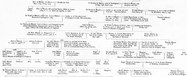 Using Reports and Charts in Genealogy