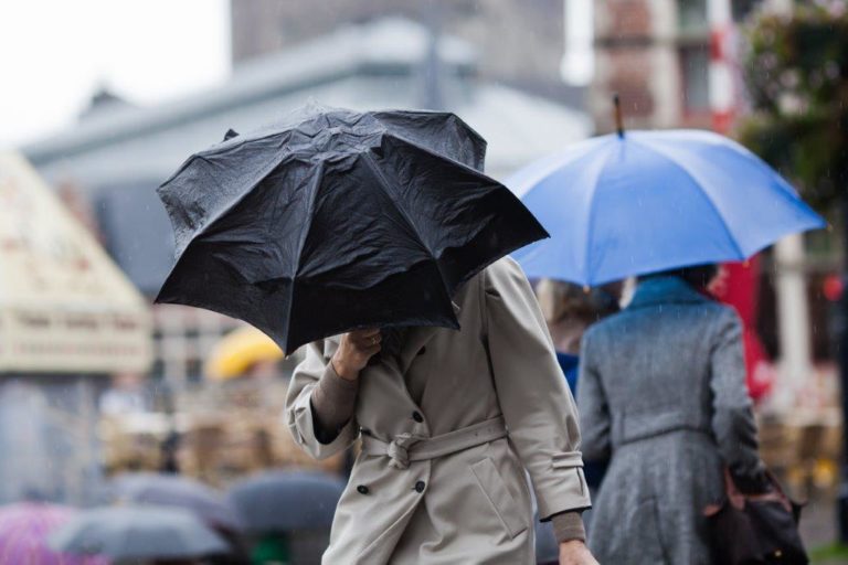 Photograph of people walking in a town centre holding umbrellas