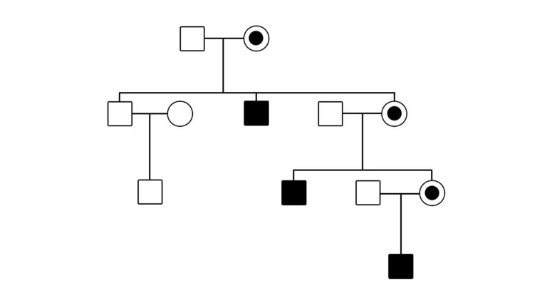 A pedigree depicting x-linked recessive inheritance