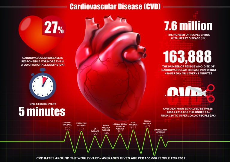 infographic with picture of heart surrounded by following text: 27%: Cardiovascular disease is responsible for more than a quarter of all deaths (UK); One stroke every five minutes; 7.6 million: the number of people living with heart disease (UK); 163,888 people died of cardiovascular diseases in the UK in 2019 ie. 450 per day or 1 every 3 minutes; For the under 75s, CVD death rates halved between 2000 and 2018. In 2018 death rate was 76 per 100,000. In 2000 death rate was 166 per 100,000; CVD rates around the world vary - averages given are per 100,000 people for 2017: Global average = 233, Europe average = 223, UK = 122, North America = 146, Latic America and Caribbean = 167, Asia = 251, Africa = 289, Australasia = 111