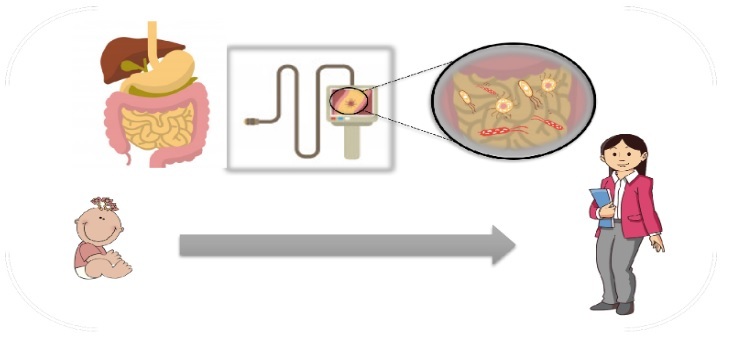 How microbiota communicates with our immune system Image 1