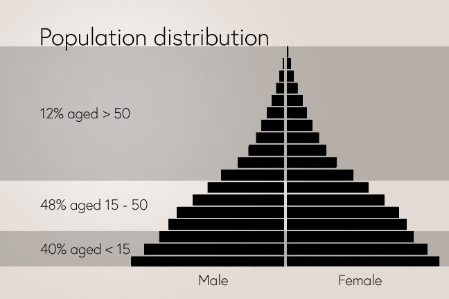 Population Distribution Showing Age and Gender