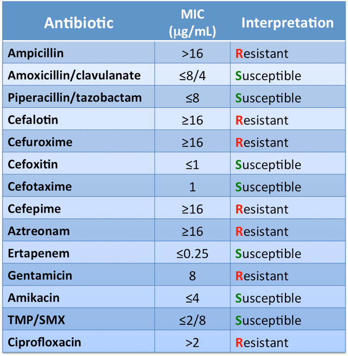 Blue table with three columns: Antibiotic/MIC (ug/mL)/Interpretation. There are 14 antibiotics listed with their MIC and Susceptibility or Resistance noted