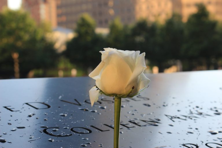 A rose at the 9/11 memorial