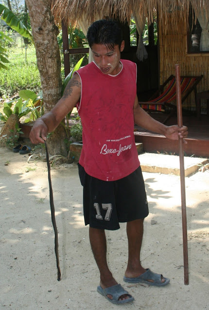 Young man working with snakes
