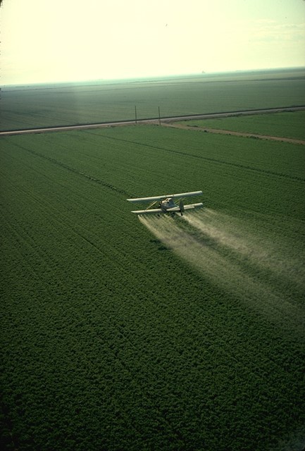 Small aeroplane distributing pesticides over a field of crops