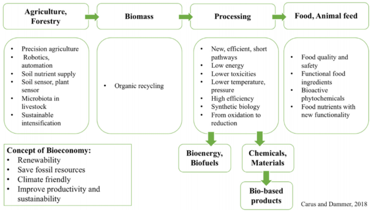 Agriculture and forestry, biomass, processing, food and animal feed, bioenergy and biofuels, chemicals and materials, bio-based products.