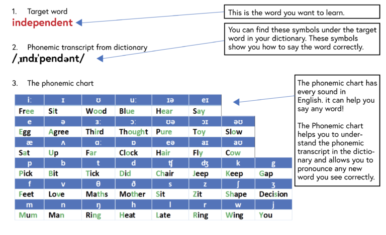 Three things to help you pronounce a new word