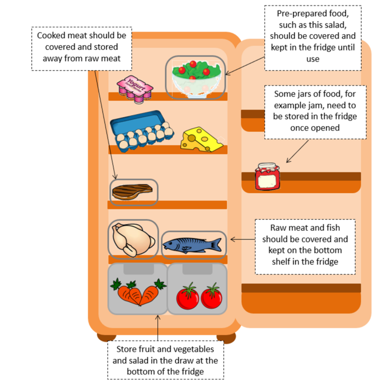 Cartoon image of fridge, with labels showing where food should be stored. Pre-prepared food (e.g. salad) on top, cooked meat should be covered and kept from raw meat, some food such as jam will need to be stored in fridge once opened, raw meat and fish should be covered and kept on bottom shelf, fruit and vegetables should be stored in the drawers at the bottom of the fridge.