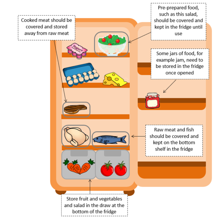 Preventing Food Contamination