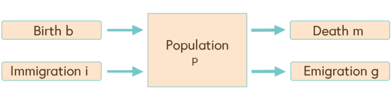 Image one shows that births and immigration increase the population compartment, while death and emigration decrease it.