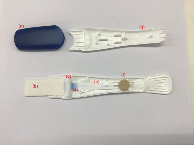 How Does a Pregnancy Test Work?