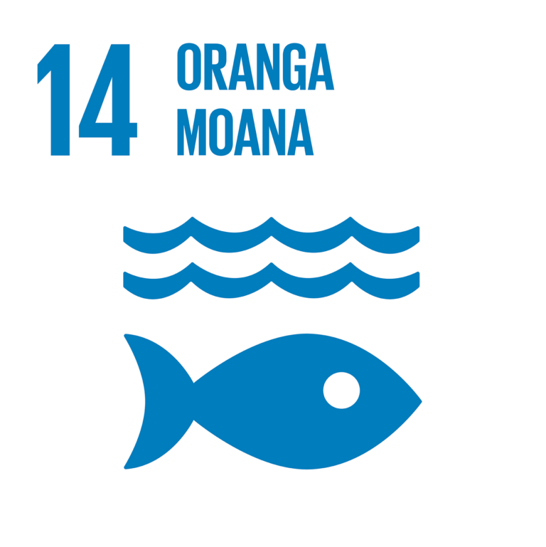Icon of fish under the water with title "Oranga Moana"