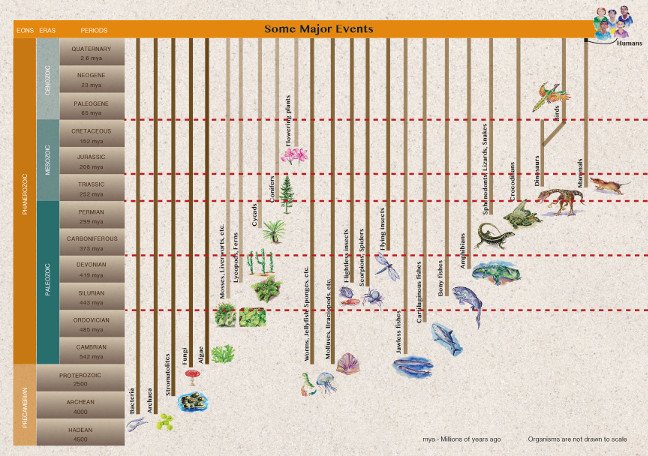 Life on earth chart