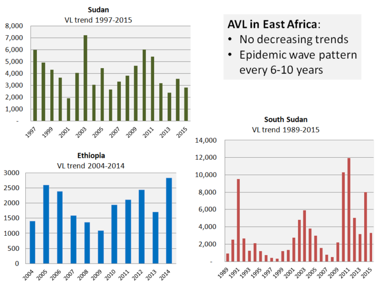 Graph shows the number of detected anthroponotic VL cases over time in three East African endemic countries. The number of cases increases suddenly and then drops for a period of time. This happens every 6 to 10 years, in so called “epidemic waves”.
