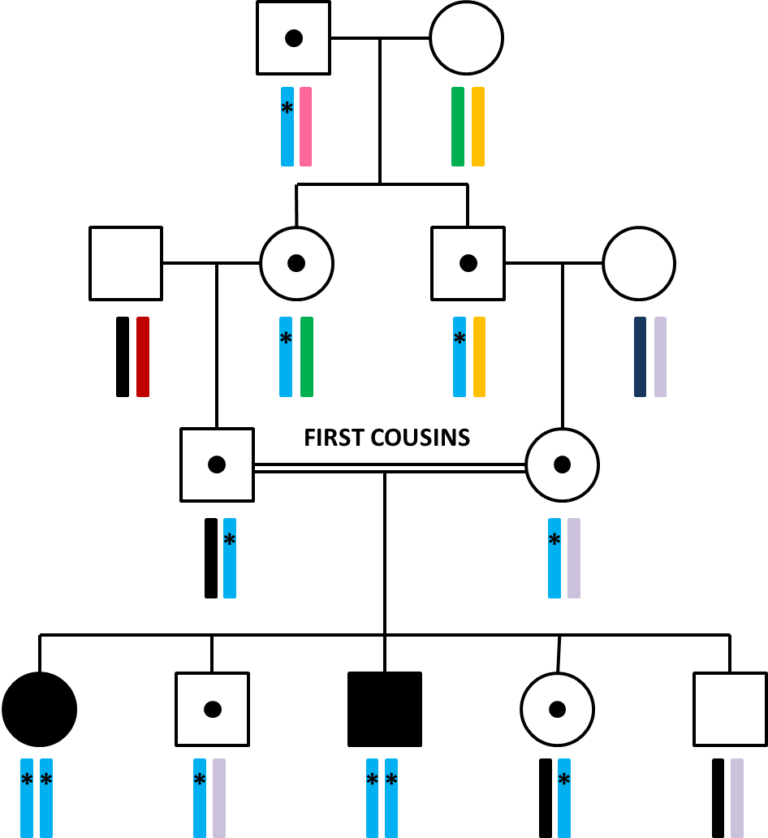 Family tree showing several patients in the same generation who are affected