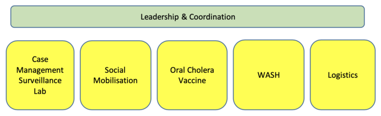 Green rectangular text box with the text “Leadership & Coordination” above five yellow boxes. The text in the yellow boxes from left to right reads: “Case Management, Surveillance, Lab”, “Social Mobilization”, “Oral Cholera Vaccine”, “WASH” and “Logistics”.