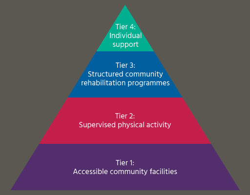 Musculoskeletal Physical Activity Commissioning Pyramid