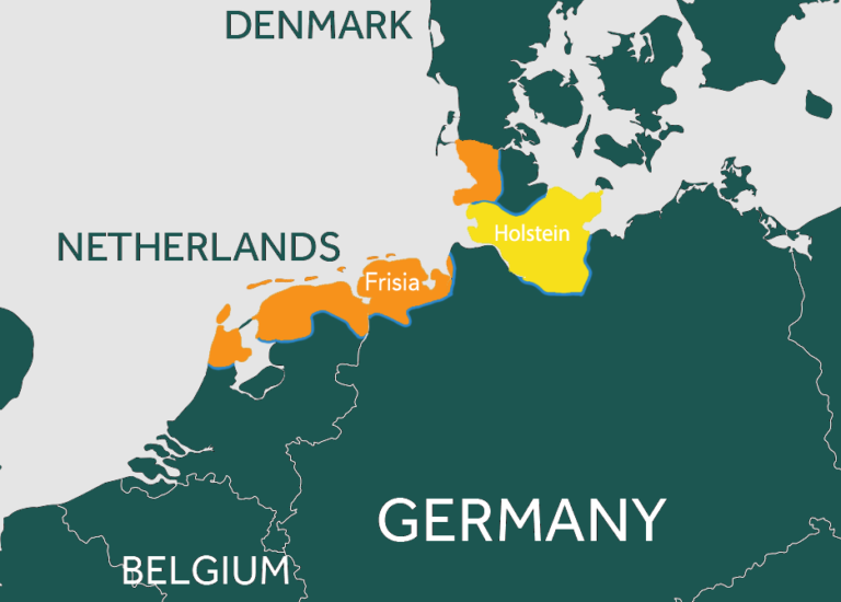 An illustrated map of Europe showing Denmark, Netherlands, Belgium and Germany, with parts of the Netherlands and Germany highlighted to show where Holstein cows originally came from