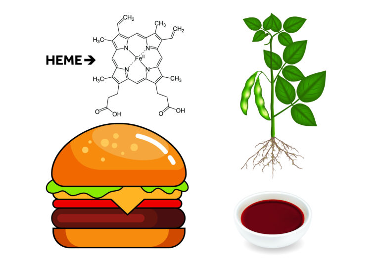 Diagram to illustrate heme isolated from the bright pink liquid produced from the roots of soy plants used to create a burger