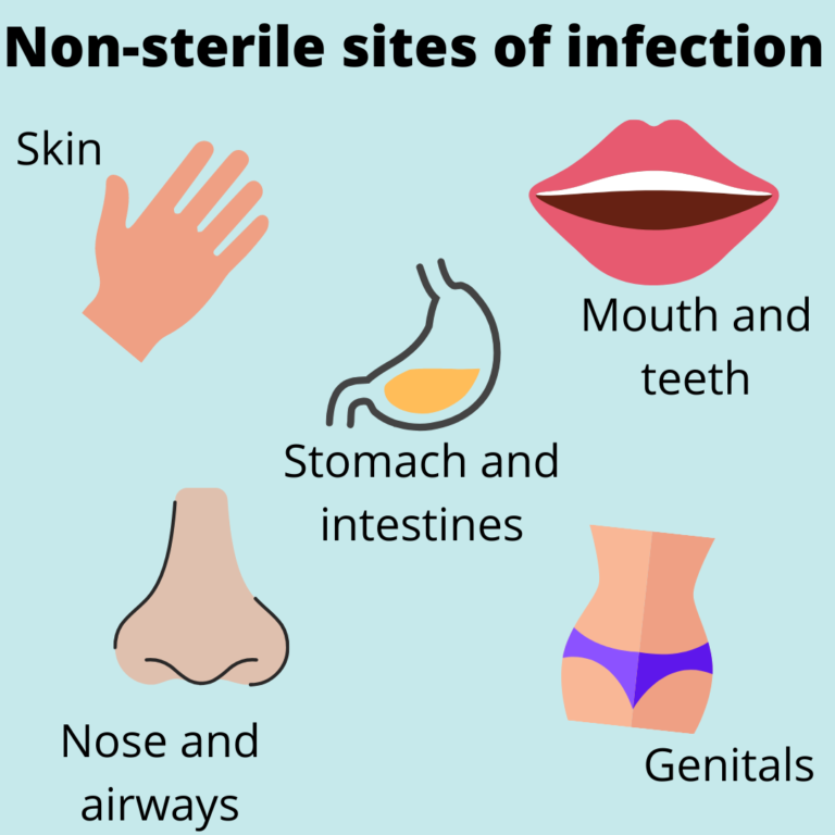 image of non-sterile sites of infection - skin, mouth and teeth, stomach and intestines, nose and airways, and genitals