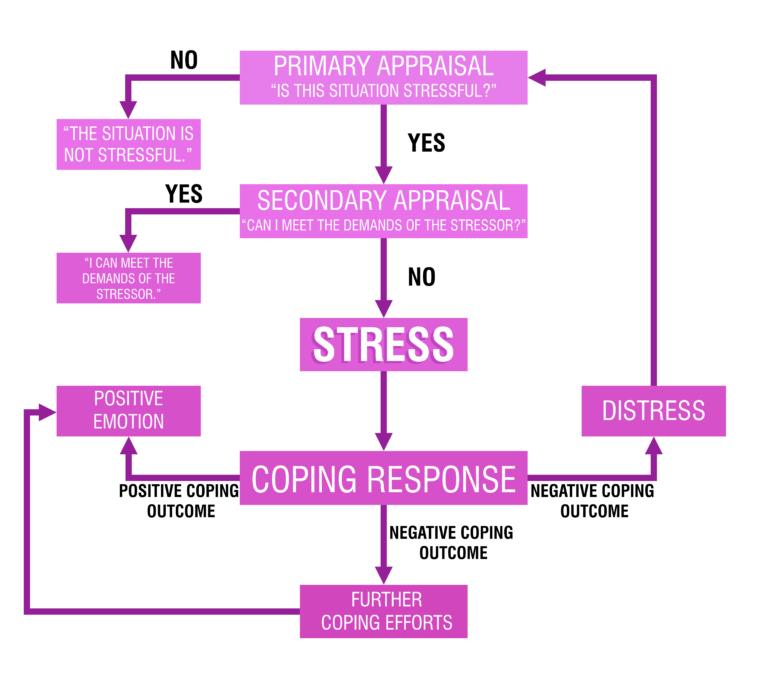 The image shows a flowchart of the cognitive-transactional model of stress, as described above